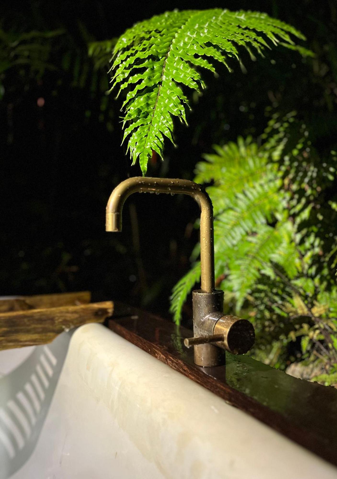 Punakaiki Forest Retreat Eksteriør bilde